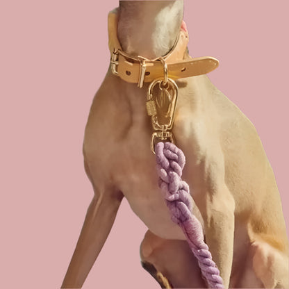 Strong Multi-functional Leash