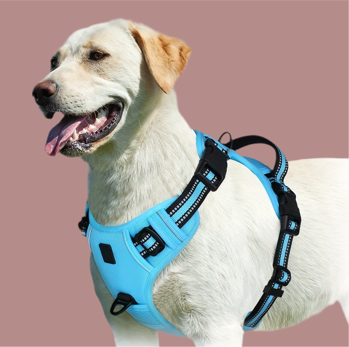 Doggo Smile No-Pull  Harness