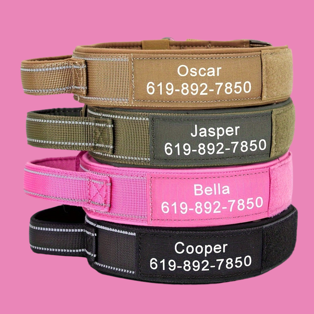 Doggo Name Dog Collar