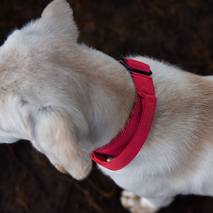 Vibrant Tactical Dog Collar -  Nylon Control Handle