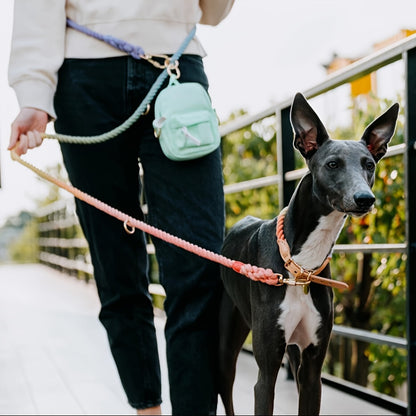 Strong Multi-functional Leash