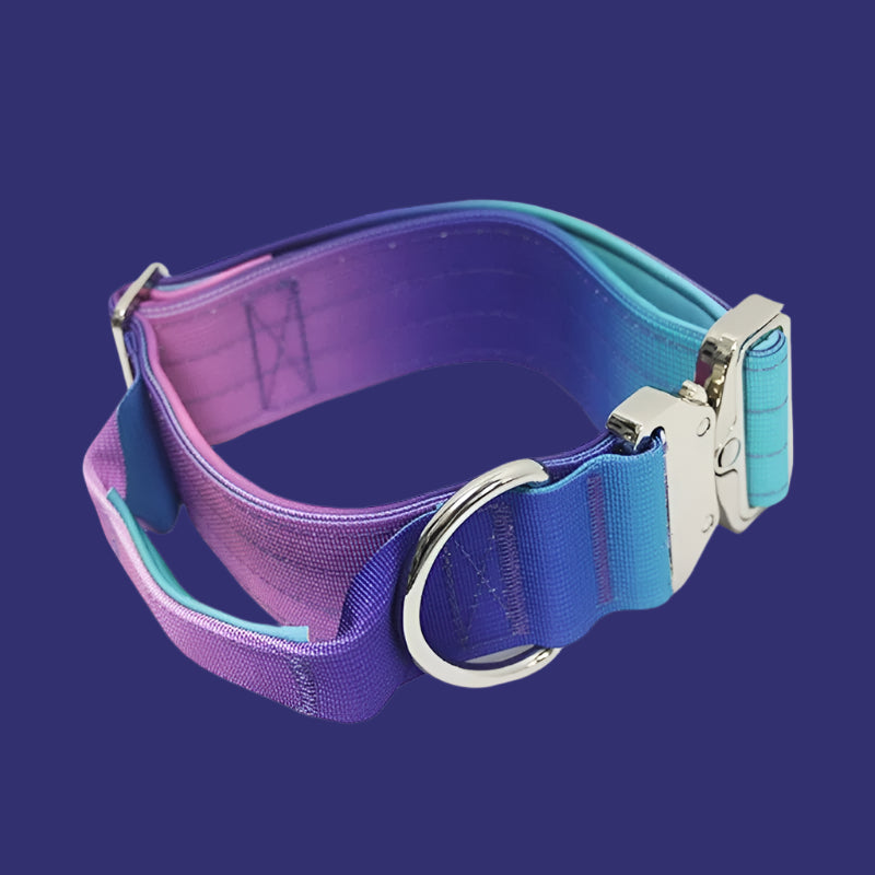 Wide Nylon Dog Collar