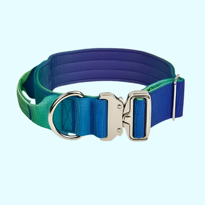 Wide Nylon Dog Collar