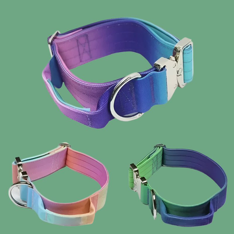 Wide Nylon Dog Collar