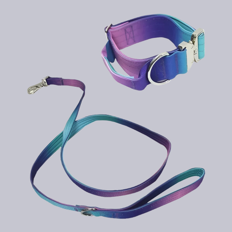 Wide Nylon Dog Collar