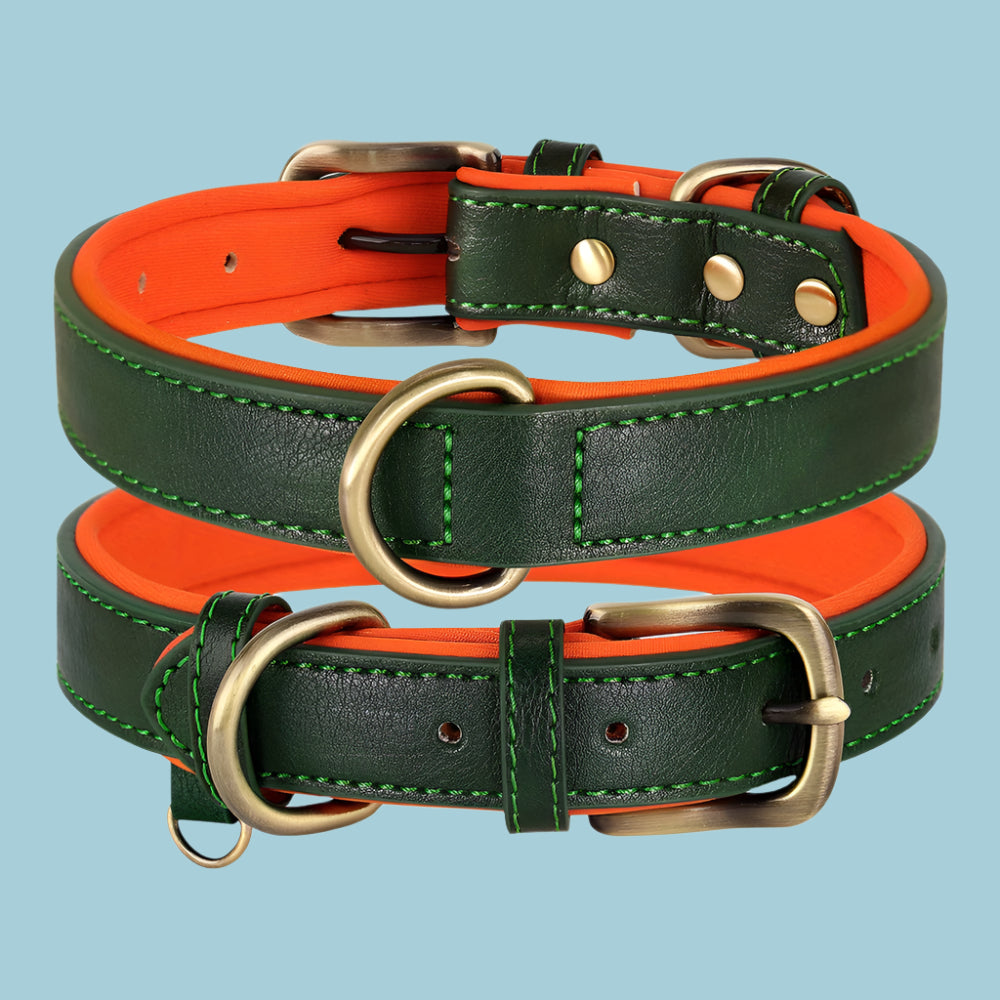 Leather Dog Collar