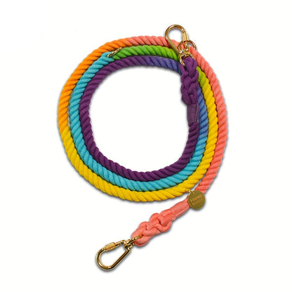 Strong Multi-functional Leash