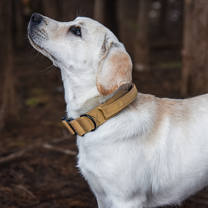 Vibrant Tactical Dog Collar -  Nylon Control Handle